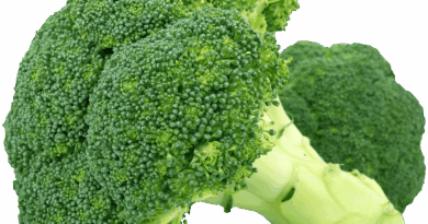 Kada rutina postane šok: Priča o zmiji u brokuli i lekcije o bezbednosti hrane