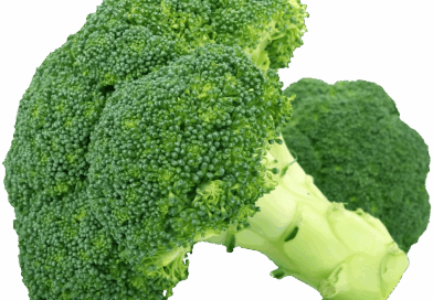 Kada rutina postane šok: Priča o zmiji u brokuli i lekcije o bezbednosti hrane