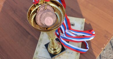 Nikolina Šljivić objavila diplomu i stavila tačku na spekulacije u javnosti