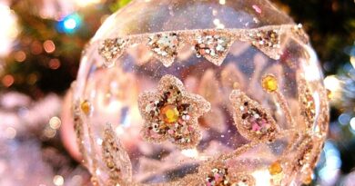 Uništili su nam božićne ukrase preko noći, ali smo naučili važnu lekciju o zajedništvu