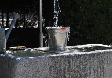 Kada hrabrost menja sudbinu: Priča o Emiliji i Aleksandru