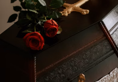 Kamionet kao ključ nasljedstva i integriteta Kamionet kao ključ nasljedstva i integriteta