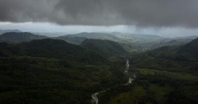 Postavio je skrivenu kameru u srcu Amazona i otkrio svijet koji rijetki imaju priliku vidjeti