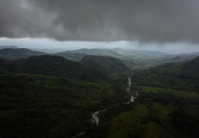 Postavio je skrivenu kameru u srcu Amazona i otkrio svijet koji rijetki imaju priliku vidjeti