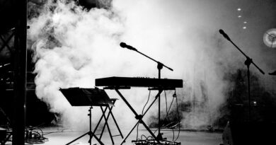 Thompson najavio koncert u Bosni i Hercegovini: Nastup zakazan u Širokom Brijegu