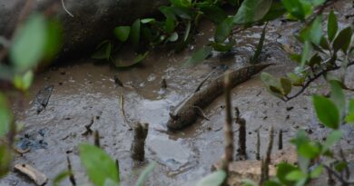 Bacio je blato na trudnu bivšu ženu, ali je istina na kraju isplivala