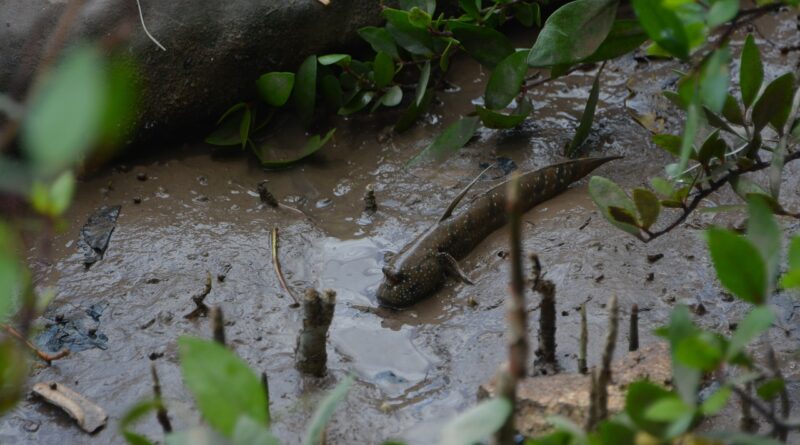 Bacio je blato na trudnu bivšu ženu, ali je istina na kraju isplivala