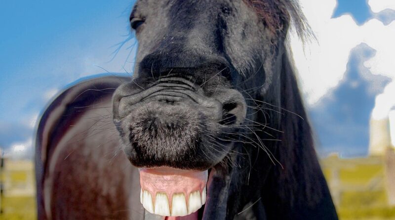 Vic dana: Zašto se ne treba svađati sa molerima