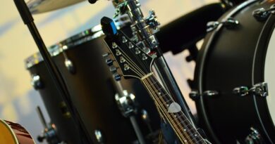 Đogani prekinuo novogodišnji nastup: Objavljeno zbog čega su nastupili samo 20 minuta