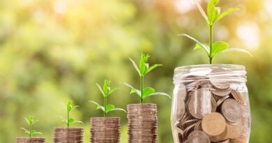 Šta je SEPA i kako mijenja način plaćanja u evrima u Srbiji