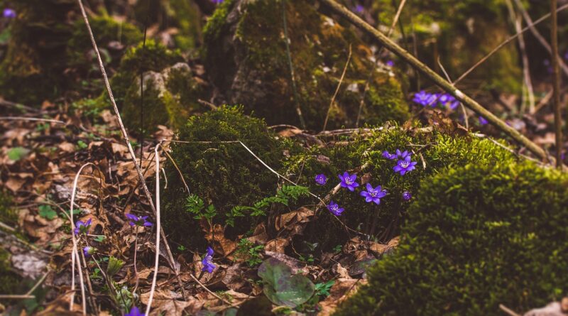 Decak koji je odlucio da ne okrene glavu prica o hrabrosti koja je razotkrila izdaju Decak koji je odlucio da ne okrene glavu prica o hrabrosti koja je razotkrila izdaju