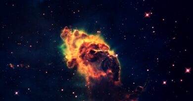 Februar donosi finansijski preokret ova četiri horoskopska znaka imaju priliku za veće prihode