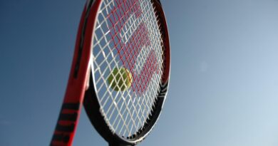 Đoković protiv Sinnera u polufinalu Australian Opena: izazov koji nosi veliku težinu