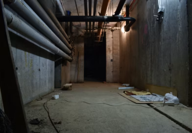 Tajni život moje bake: podrum pun srca i izgubljena sestra