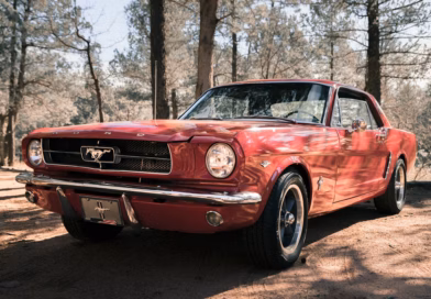 Nasleđe opreza: Kako sam zaštitila sebe i porodicu od finansijske prevare