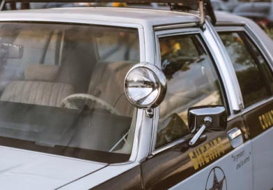 Sara i ranč: Borba za nezavisnost i pravdu