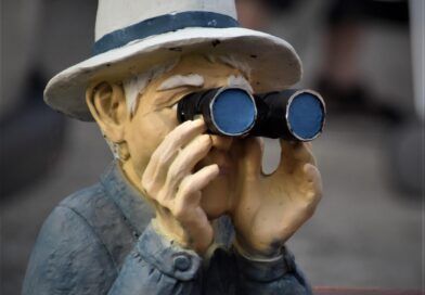 Život poznatih u luksuznom naselju: Kako izgleda svakodnevica iza zatvorenih vrata