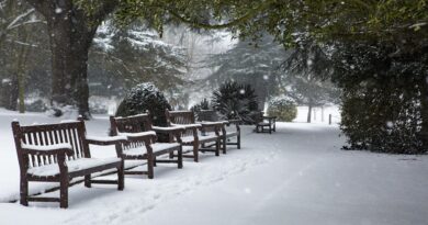 Pronašla sam napuštenu bebu koja je plakala na klupi: Kada sam saznala ko je ona, moj život se zauvijek promijenio