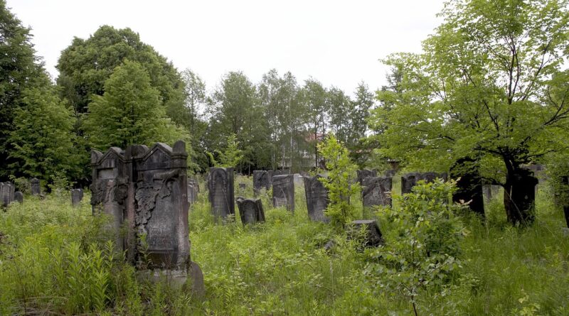 Tragična smrt Aleksandre Šarković: Šta se zna do sada i zašto je važno govoriti odgovorno