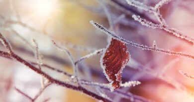 Stiže promjena vremena: Kiša, pad temperature i snijeg na planinama od petka