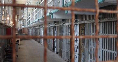 Skandal u zatvoru: Kako emocionalne veze ugrožavaju bezbednost i integritet sistema