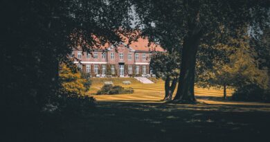 Zdravko Čolić preselio se na Dedinje zbog privatnosti: Šokantni incident uznemirio porodicu