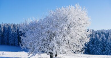 Zima se predomislila: Detaljna vremenska prognoza za Bosnu i Hercegovinu narednih 15 dana