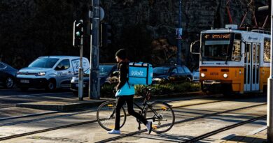 Povjerenje na testu: Šta nas jedan viralni snimak uči o sigurnosti dostave hrane