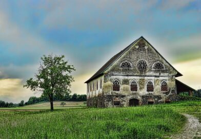 Neočekivana posjeta koja je promijenila sve: priča o ljubavi, istini i zaboravljenoj porodici