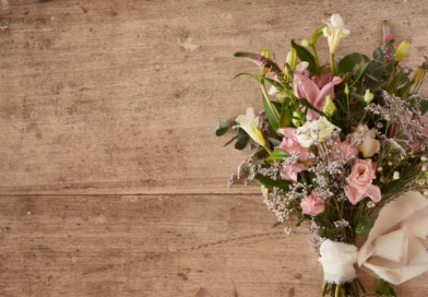 Pismo iz prošlosti: Povratak Emily Whitmore