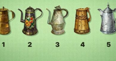 Test ličnosti sa čajnicima: Šta vaš izbor govori o odnosu prema novcu, uspjehu i ličnim odlukama