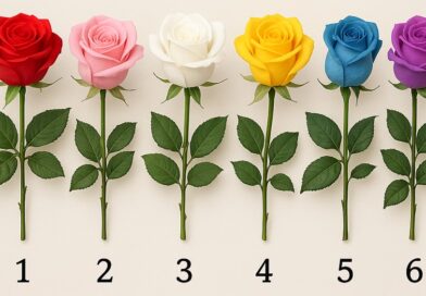 Test izbora ruže: Otkrijte šta vam je trenutno najpotrebnije u životu