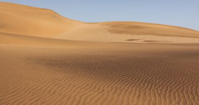 Kako Kina pretvara pustinju u zelenu zonu: milijarde stabala mijenjaju lice Taklamakana