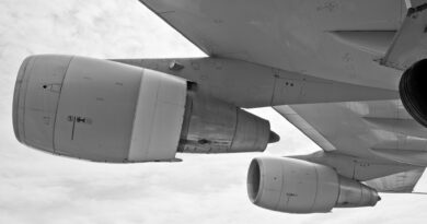 Evakuacioni let iz Dubaija sleteo u Tivat: Među putnicima i građani Srbije i Bosne i Hercegovine