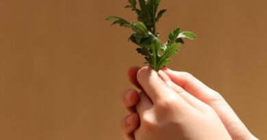 Dan tuge u Brestaču: porodica i prijatelji ispraćaju Dragana Lazića na večni počinak