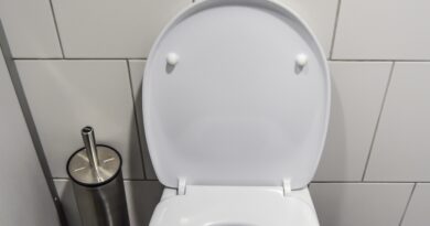 Jednostavan i povoljan trik za čišćenje WC šolje bez ribanja