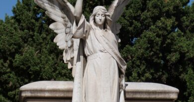 Život i karijera Lepe Lukić: trajna vrijednost narodne muzike i istina iza javnih priča