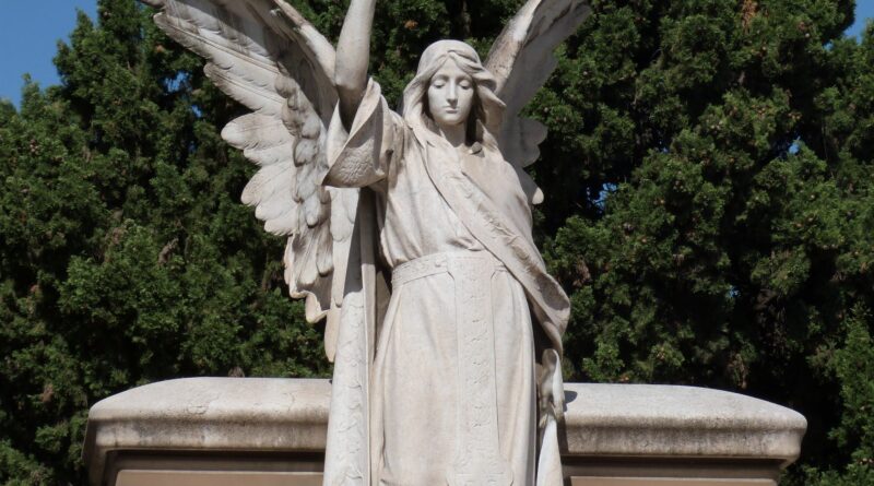 Život i karijera Lepe Lukić: trajna vrijednost narodne muzike i istina iza javnih priča