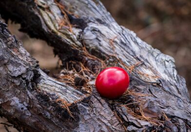 Prirodno farbanje jaja u jarko crvenu boju: Tradicionalni recept koji se prenosi generacijama