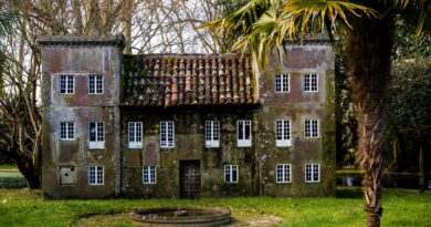 Tanja Savić gradi svoju oazu mira: od estrade do šume i unutrašnje harmonije