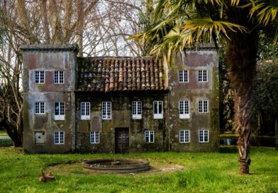 Tanja Savić gradi svoju oazu mira: od estrade do šume i unutrašnje harmonije Tanja Savić gradi svoju oazu mira: od estrade do šume i unutrašnje harmonije