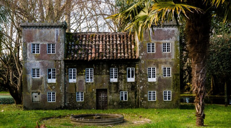 Tanja Savić gradi svoju oazu mira: od estrade do šume i unutrašnje harmonije Tanja Savić gradi svoju oazu mira: od estrade do šume i unutrašnje harmonije