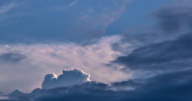 Koliko trojki vidite prvo? Šta vaš izbor otkriva o vašoj ličnosti