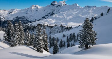 Snijeg u martu kao simbol upozorenja: narodna vjerovanja i njihovo značenje danas