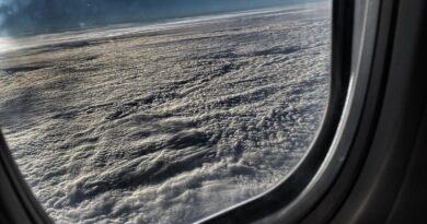 Vožnja bez dozvole i odgovornost javnih ličnosti: Šta nas uči slučaj Tanje Savić