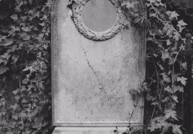 Priča o dobroti i cveću: kako jedan čin saosećanja menja život zauvek