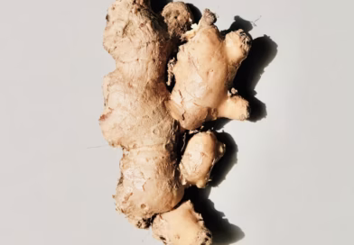 7 zdravstvenih prednosti đumbira za starije osobe koje podržavaju vitalnost i imunitet