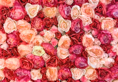 Šta boja ruže koju birate otkriva o vašoj ličnosti