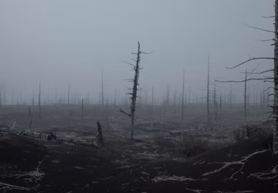 Predmeti koje je najbolje otpustiti nakon gubitka voljene osobe