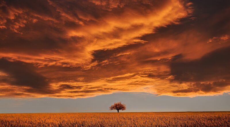 Kako je Divna, majka Jelene Karleuše, govorila o Dušku Tošiću – reči koje su mnogi izbegavali